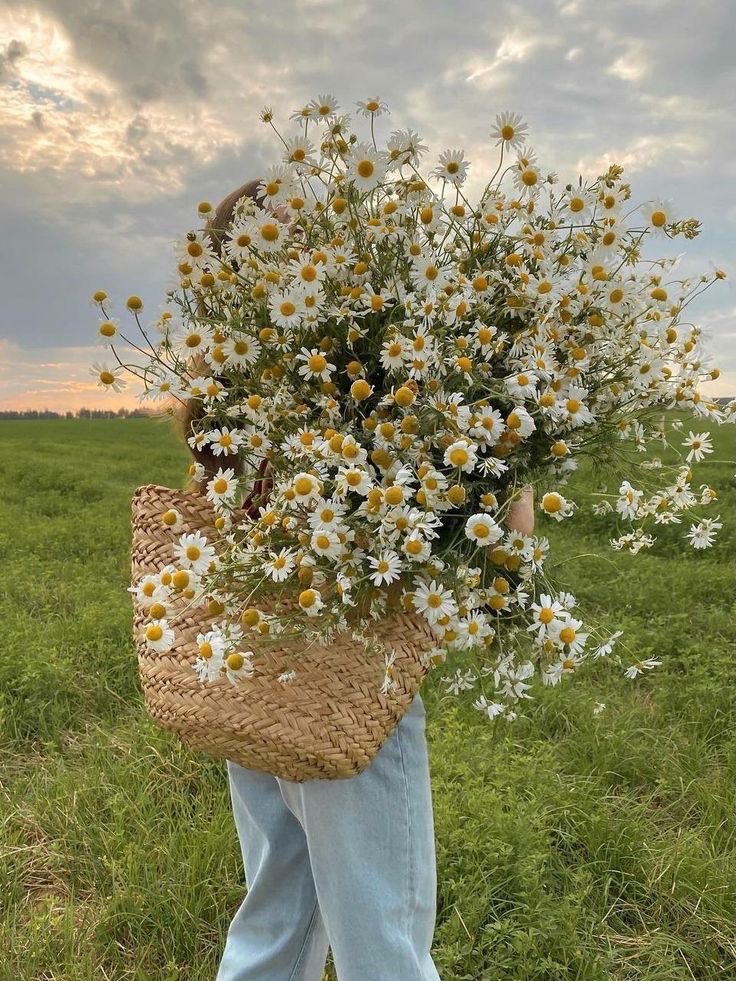 pamvonhadder's tweet image. gentle reminder that spring is in 44 days 🪷🪻🌸🌺🌷