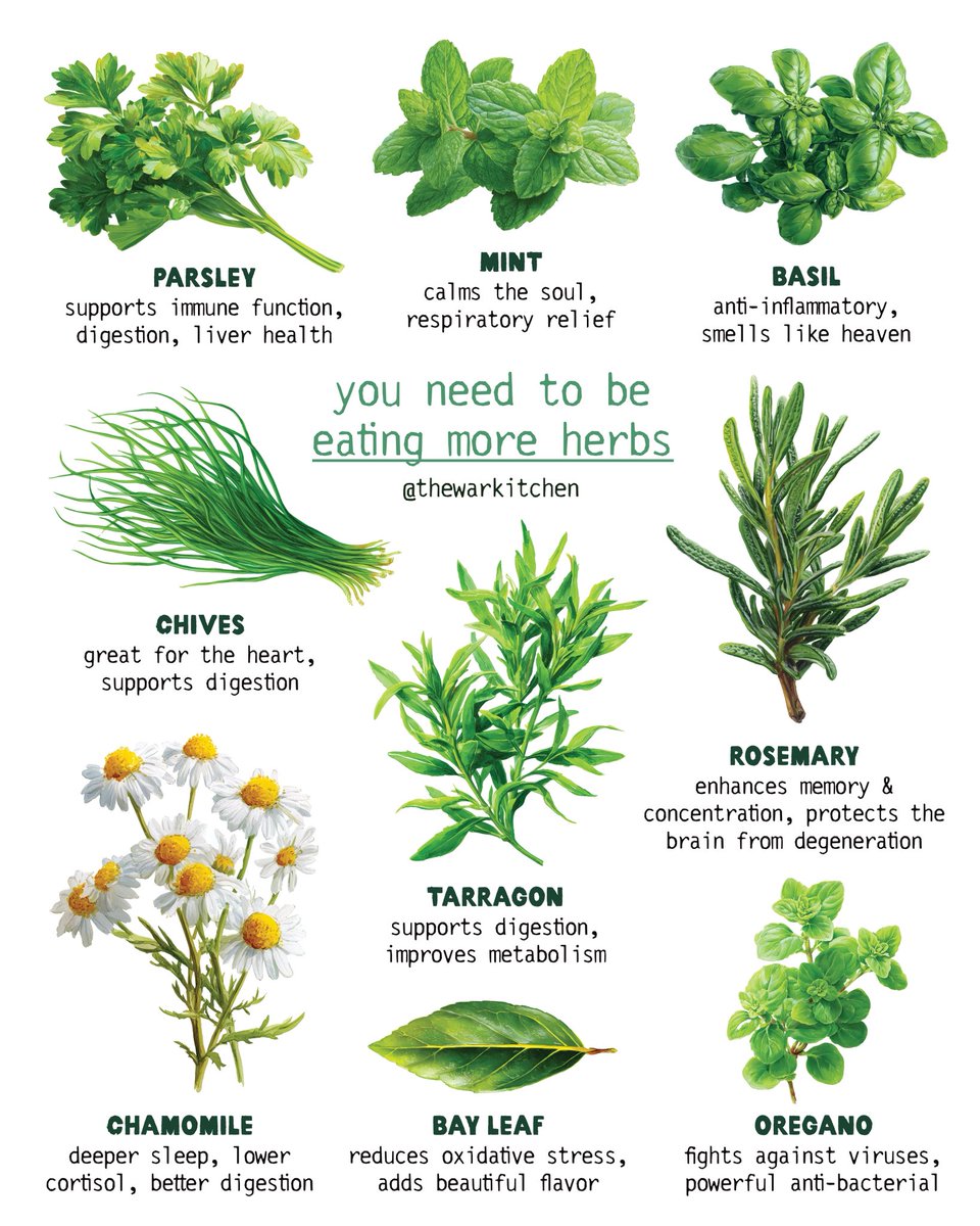 TheWarKitchen's tweet image. You need to be eating more herbs. Fold tarragon in your breakfast omelet. Sip on chamomile tea before bed. Baste your steaks with rosemary. Sprinkle chives on everything. Make basil pesto. Herb-maxxing is a lost art. You'll be protected in more ways than you imagine.