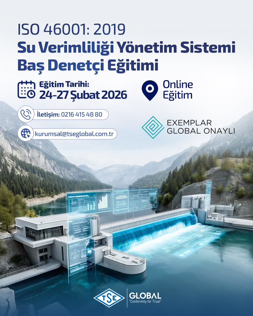 TSE GLOBAL tweet media