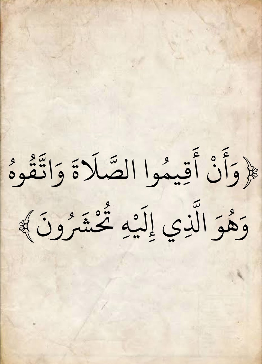 AlMosahf's tweet image. 