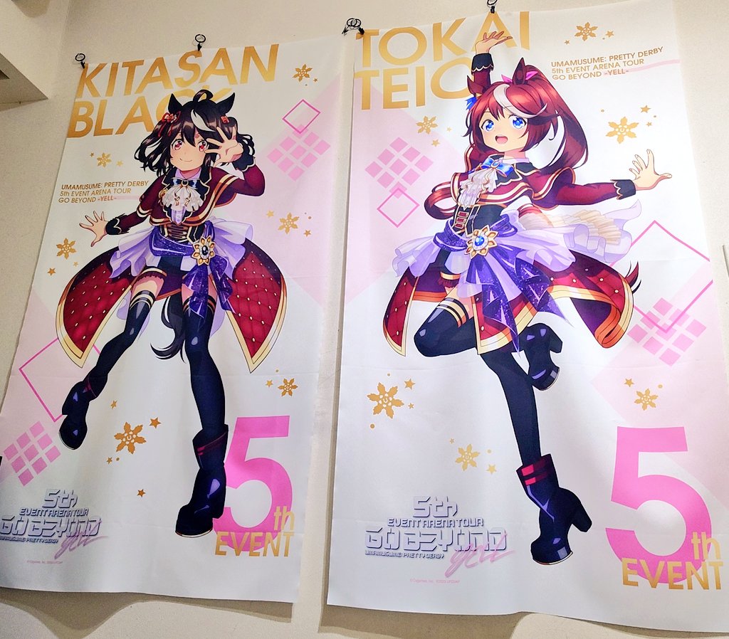 みんなタペストリー系のグッズはまじでおすすめやで… ちなみに等身大