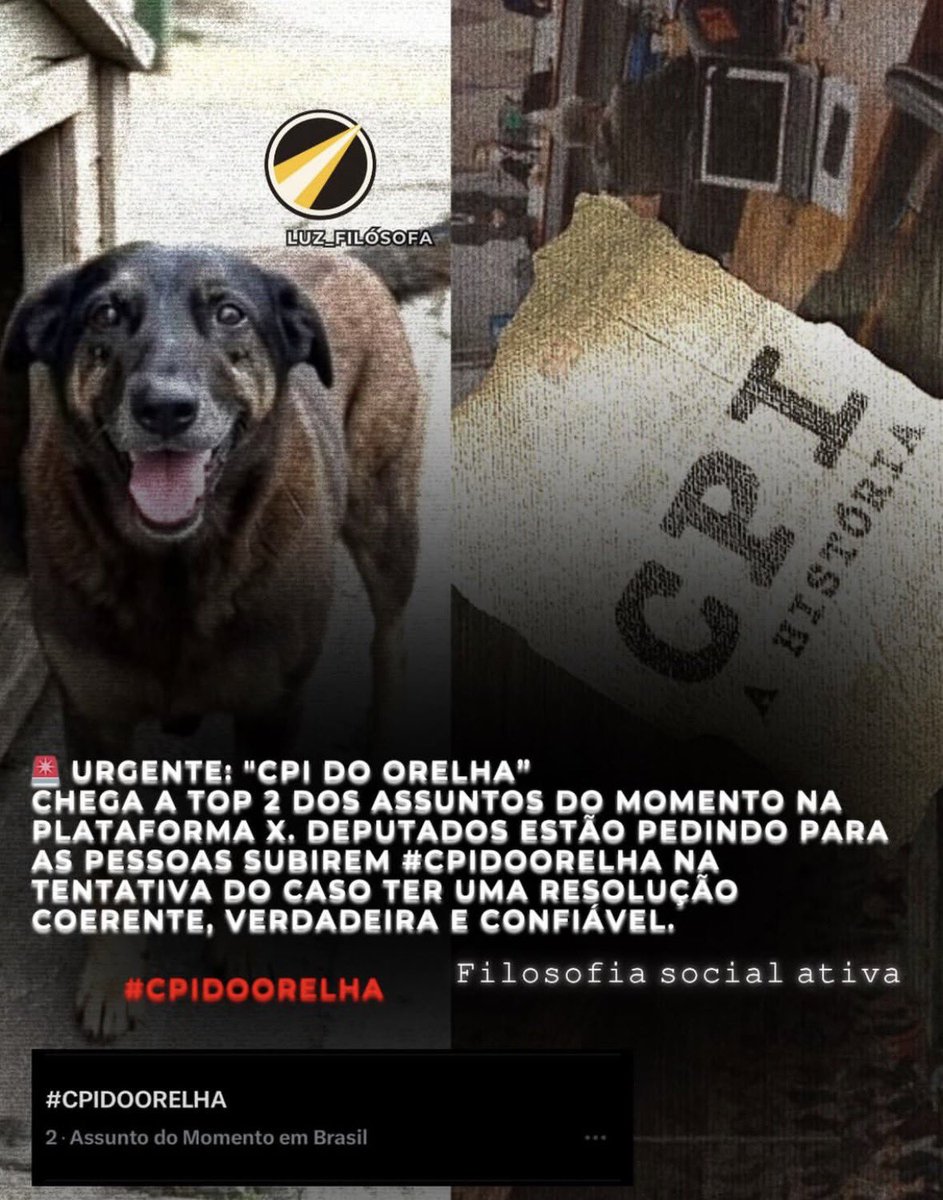 venlafaxina_150's tweet photo. O quão ridículo é o nível de impunidade do país que precisa mobilizar o povo inteiro, pra que seja feito um pouco de justiça? #cpidoorelha https://t.co/IXLoijoE3y