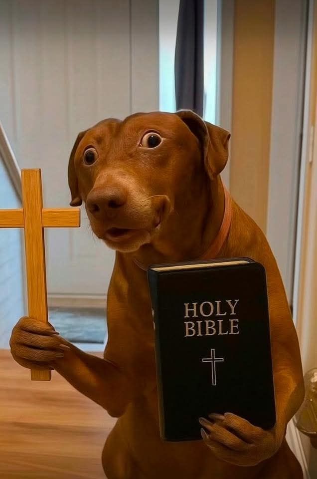 KarlaCipriano3's tweet image. Rebecca cuando se vea cara a cara con Emma:

#wattpad