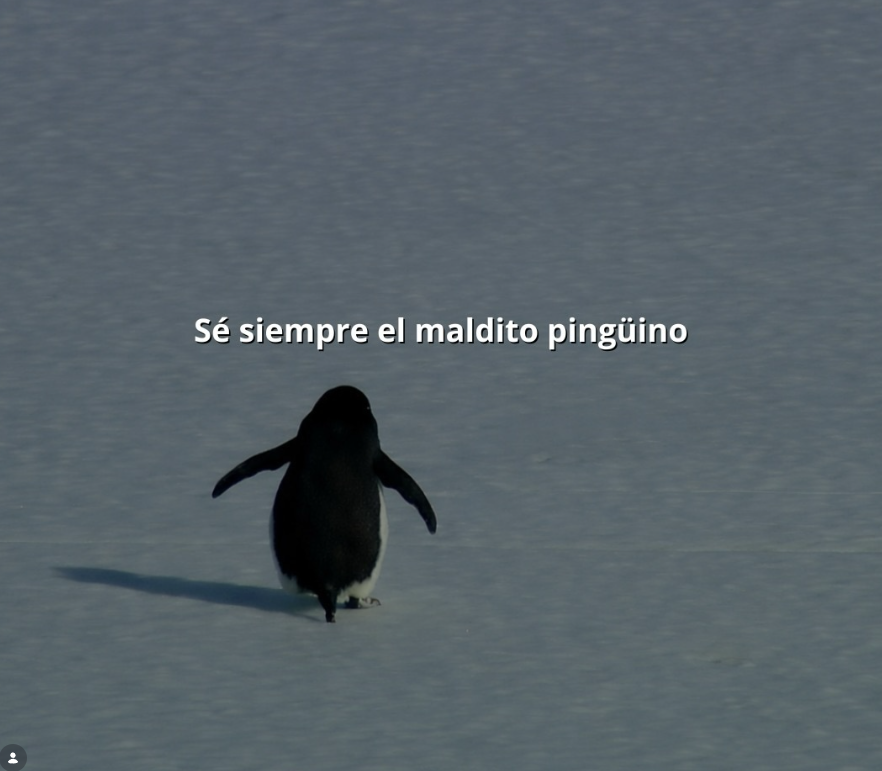 BANDIDOS (@bandidosfrasess) on Twitter photo 