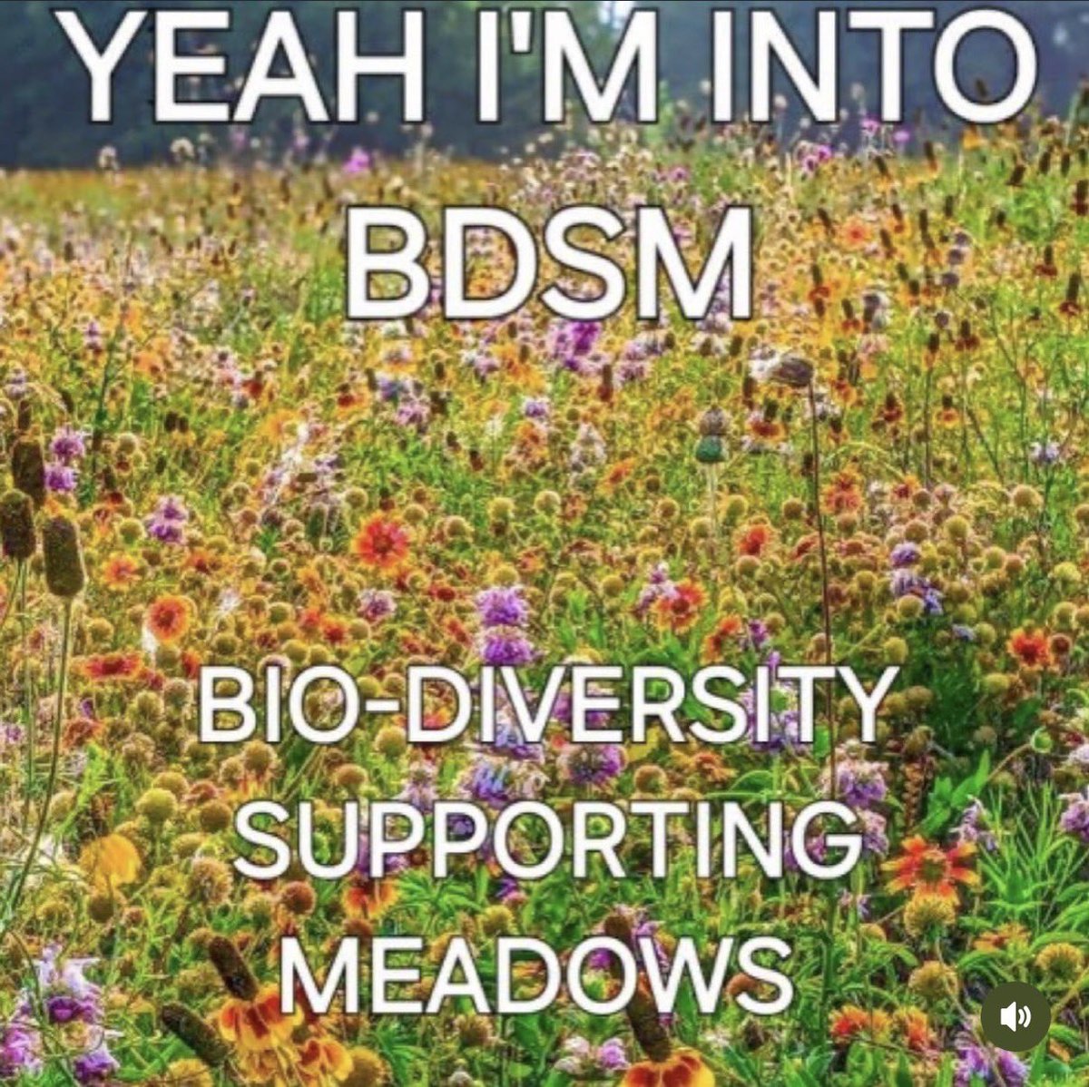 entomemeology's tweet image. 