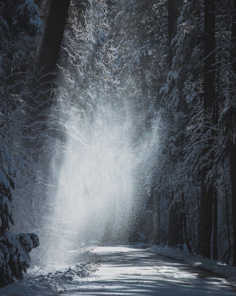 Amazing_Viewss tweet media