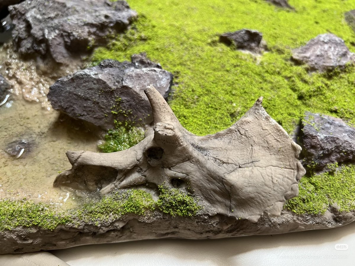 La gran plataforma de #Haolonggood 

Plataforma de tierra de casi un metro de largo, muy pesada y de excelente calidad.

El nivel de realismo es alto, con detalles bien logrados en el césped, las aguas rocosas y los troncos de árbol.

Incluye una pequeña charca con una tortuga,