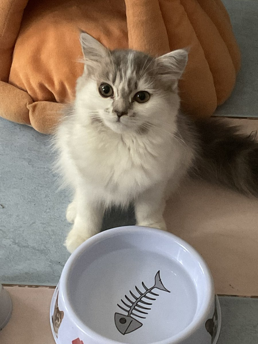 ไม่ชอบไอ้ขนฟูนี่เลย