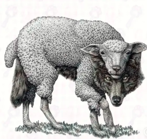 Roberto M. tweet media