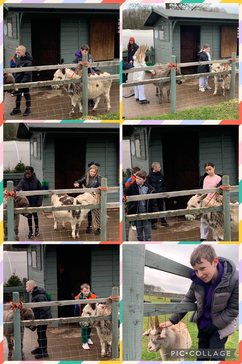 MrsMoore_Parish's tweet photo. It’s Group 2’s turn to enjoy all that CAFT has to offer. And what a great start to the trip it’s been! Meeting the animals, walking the donkeys and eating a delicious home cooked spag bol for lunch. We’re ready and raring to go for the afternoon session. @parishschool1 https://t.co/zBE7gkF1R0