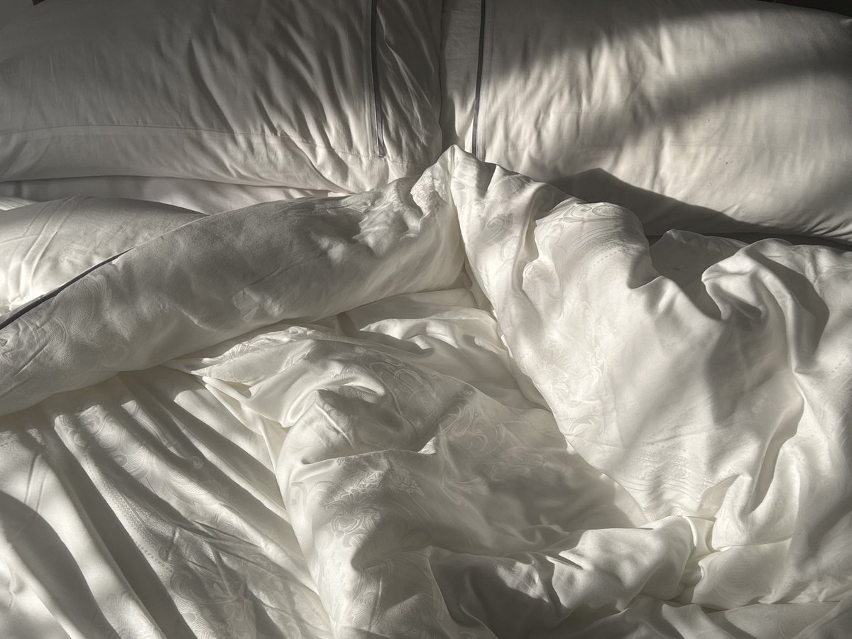 AliceTheshell's tweet image. 