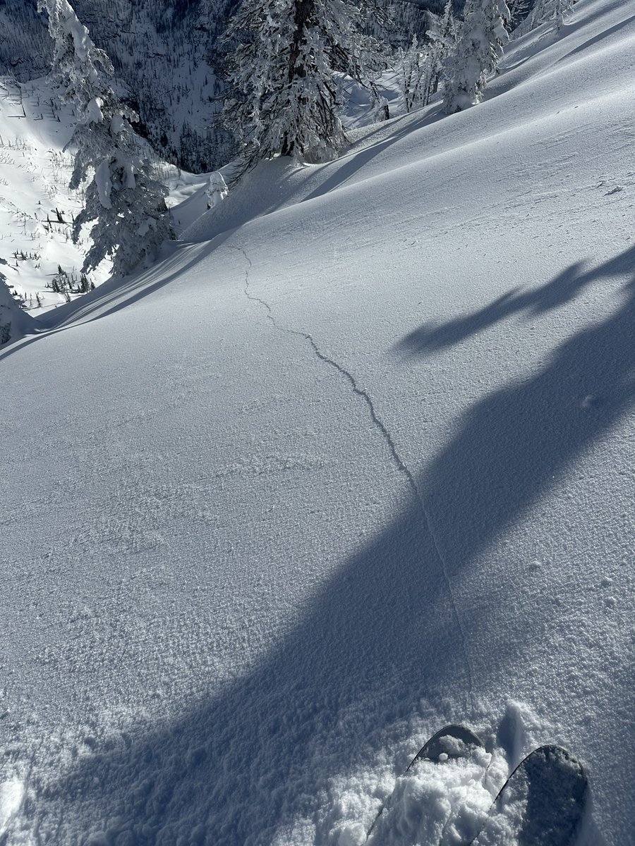 5 consecutive days with signs of unstable snow! A conservative travel plan will make for a pleasant day in the mountains. Low-angle terrain shaded from the sun should offer good skiing and riding.