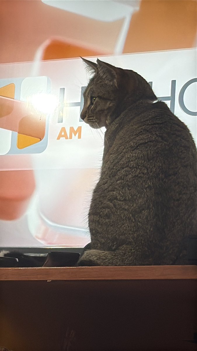 MaryBoom tweet media