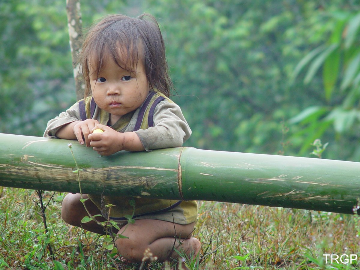 Raconets tweet media