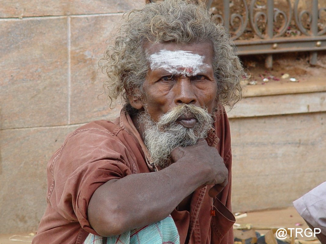 Raconets tweet media