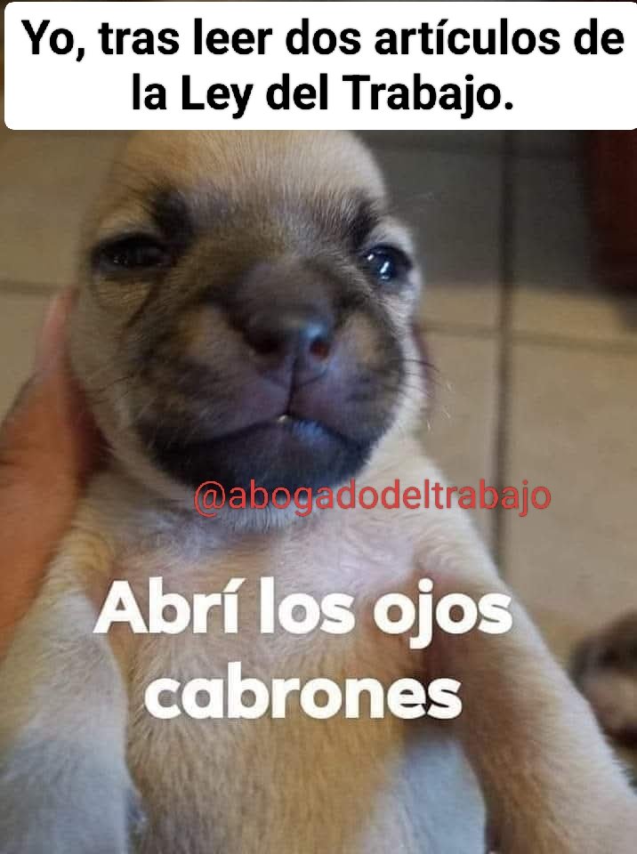 Abogado del Trabajo tweet media