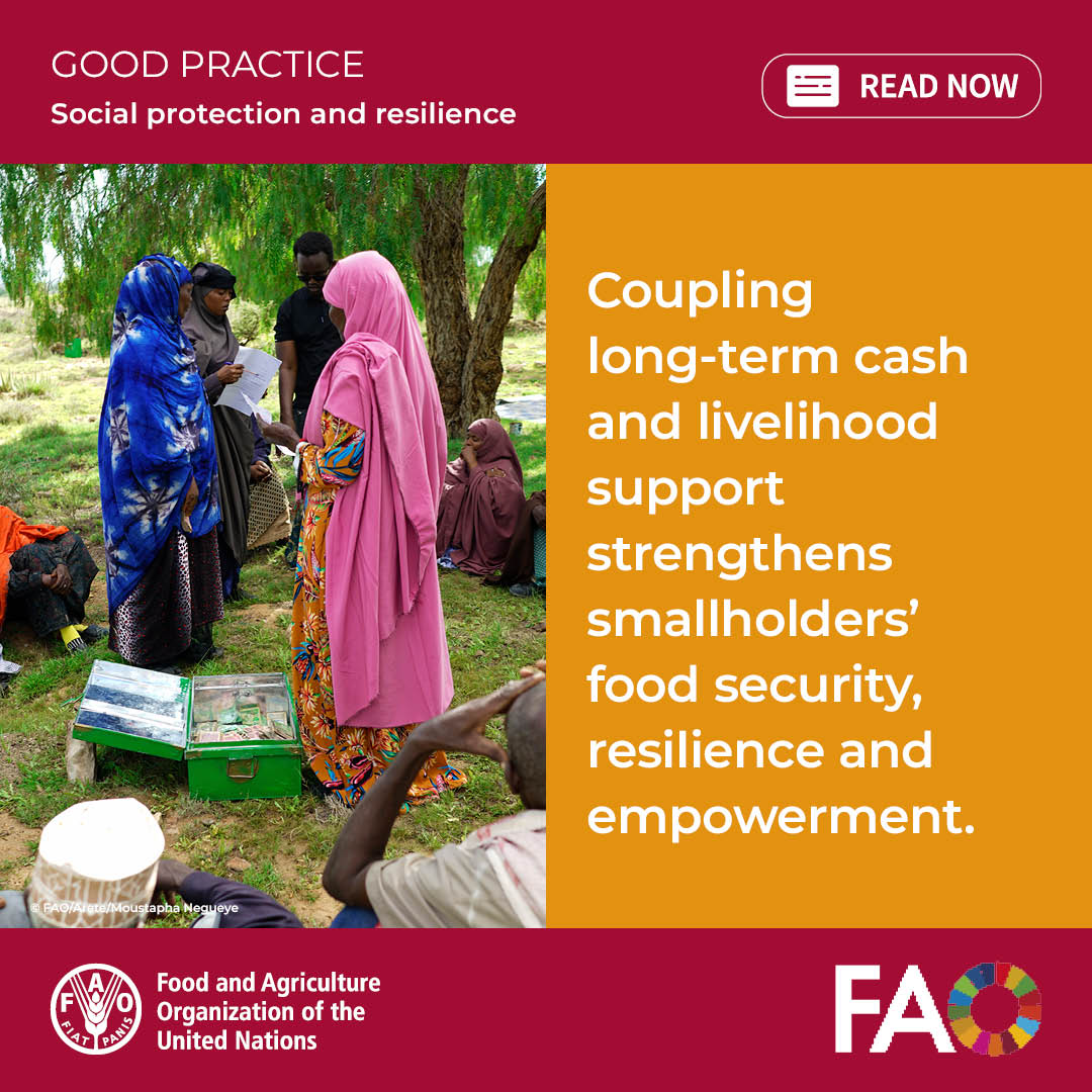 FAOSocioEcon's tweet image. Somalia has faced decades of #emergencies caused by crises and climate shocks.

📘 New factsheet documents FAO’s intervention in Somalia to help families build resilience through #Social Protection.

Download 👉 bit.ly/3NNro68