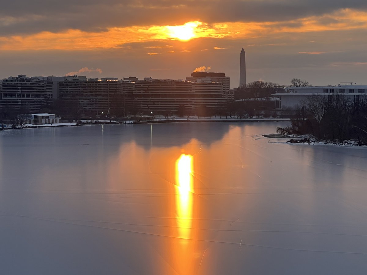 Jeanne Stuart McVey tweet media