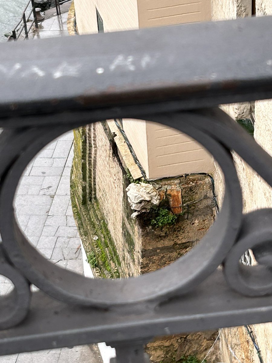 En Triana no hacía falta ni WhatsApp ni Protección Civil.Bastaba mirar la Boca del León.

Si el agua del Guadalquivir le llegaba a la boca… “miarma, aligera y sube los muebles que el río viene con ganas”.

Durante años, fue el termómetro del barrio frente a las riadas.
…