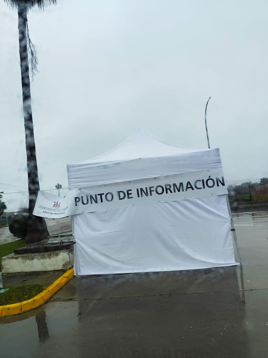Sara Lozano Biedma tweet media