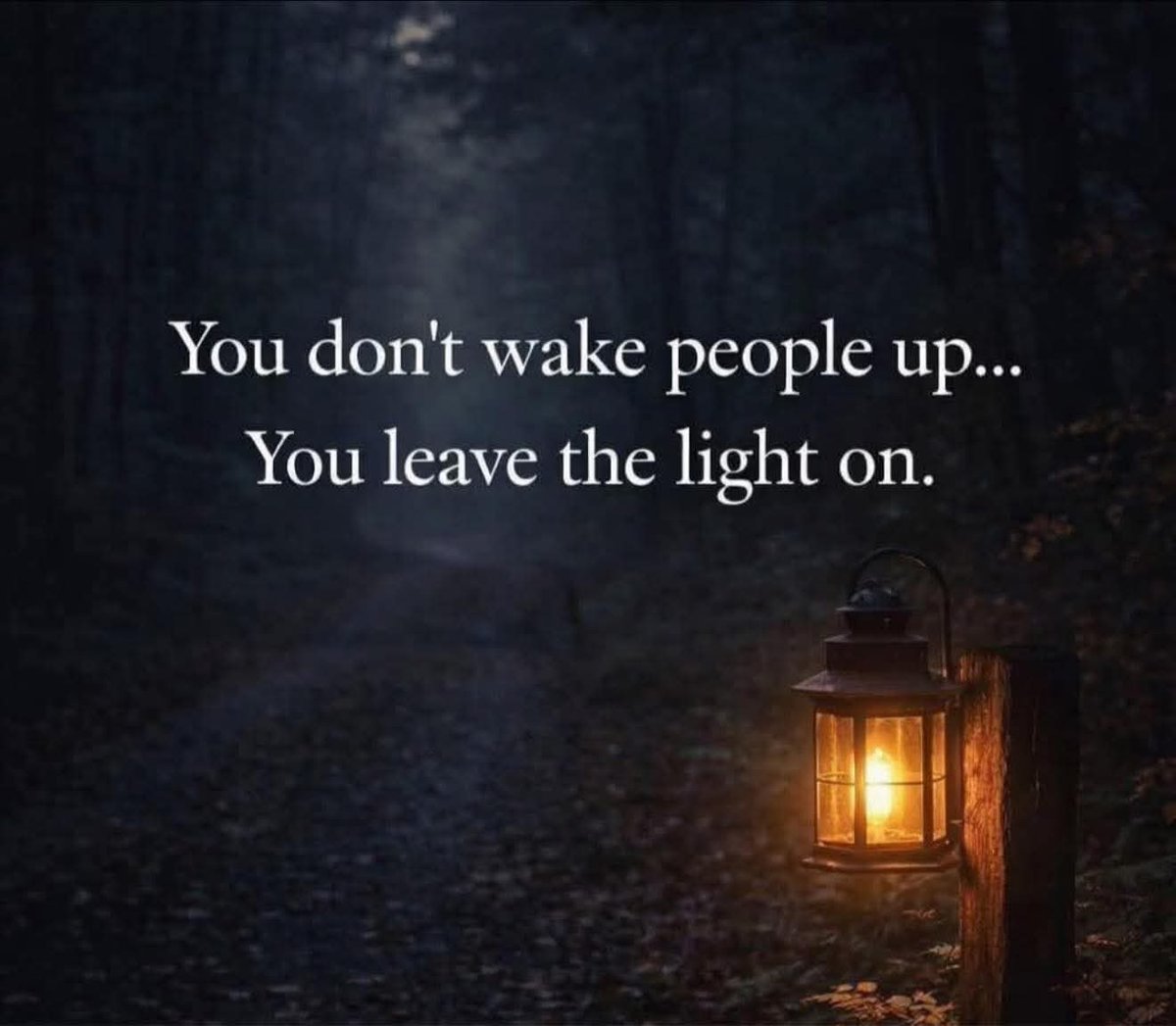 Nerplex (@nerplex2) on Twitter photo 