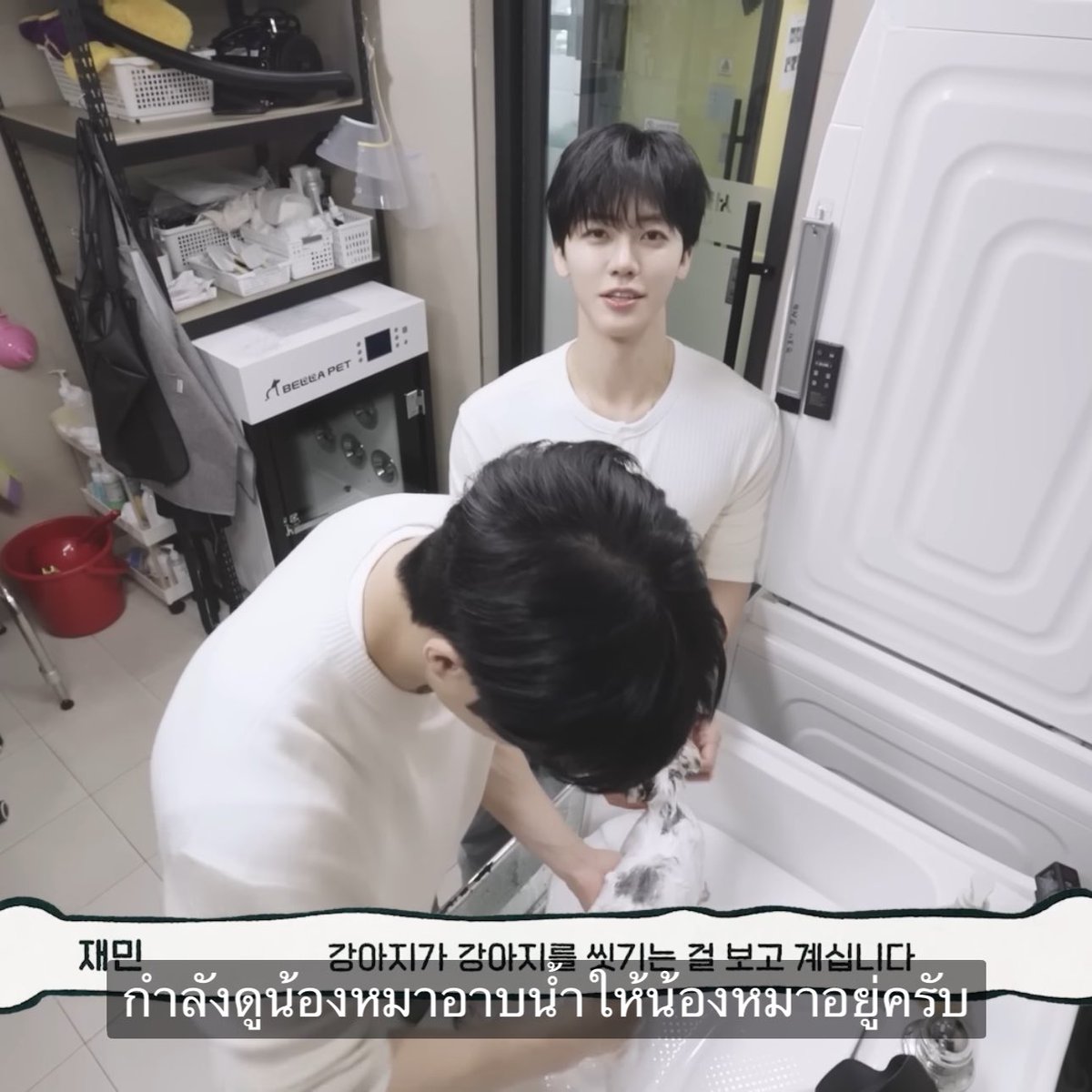 เจโน่กำลังอาบน้ำให้น้องหมา

แจมิน :