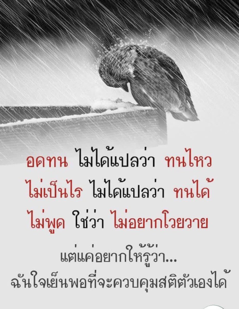 มาวมาว 💜 tweet media