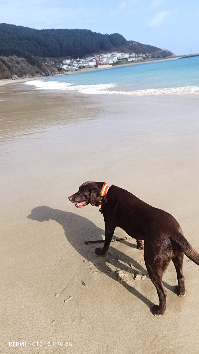 Aquí, no se sufre a Pedro Sánchez.