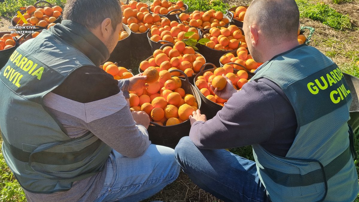 EFE_CValenciana's tweet photo. 🚔 Detienen a dos personas por el hurto de 2.000 kilos de naranjas en Burriana https://t.co/I9hwSLF9fc