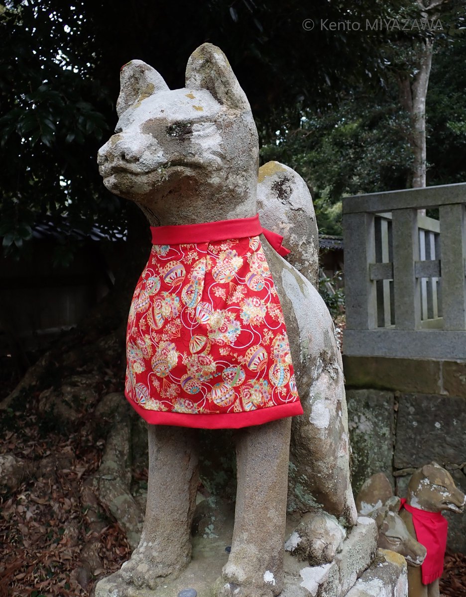 lichen_ji117's tweet photo. やや重いタスクを終えた。さあ、次だ。
#地衣類 #稲荷 #Lichens #InariFox #ばけばけ https://t.co/1UvxeFZHCX
