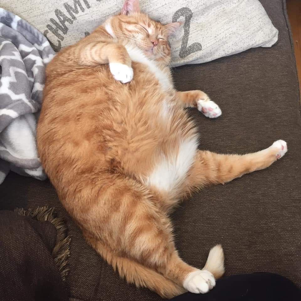 𝓬𝘰𝘶𝘱𝘦́. tweet media