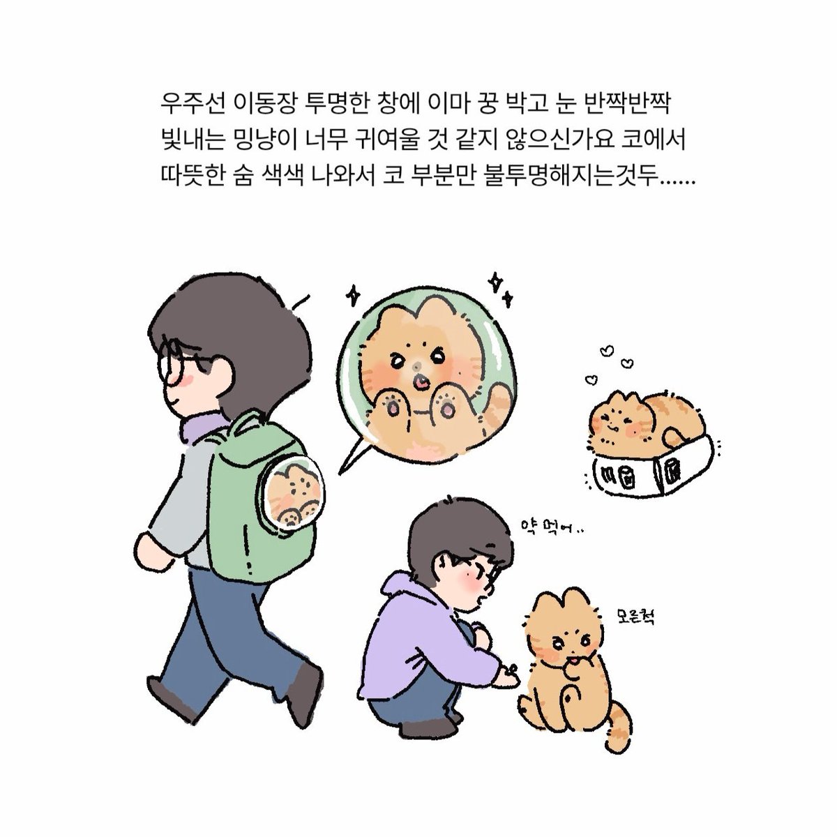 먹는식빵 tweet media