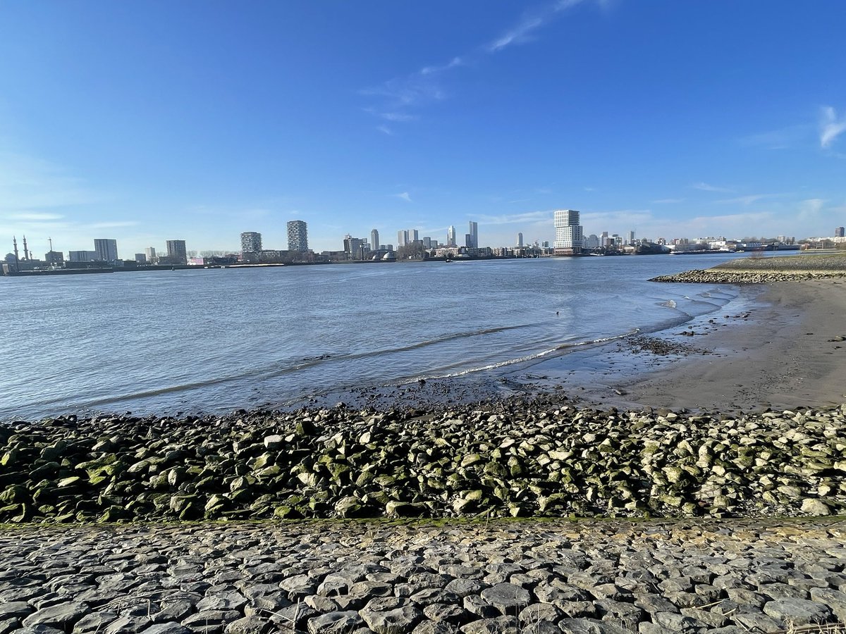 Rotterdam 4 februari 2026