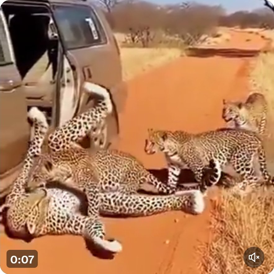 あっきー 朝運動5️⃣周年 (@CAkihiro1619) / Posts / X