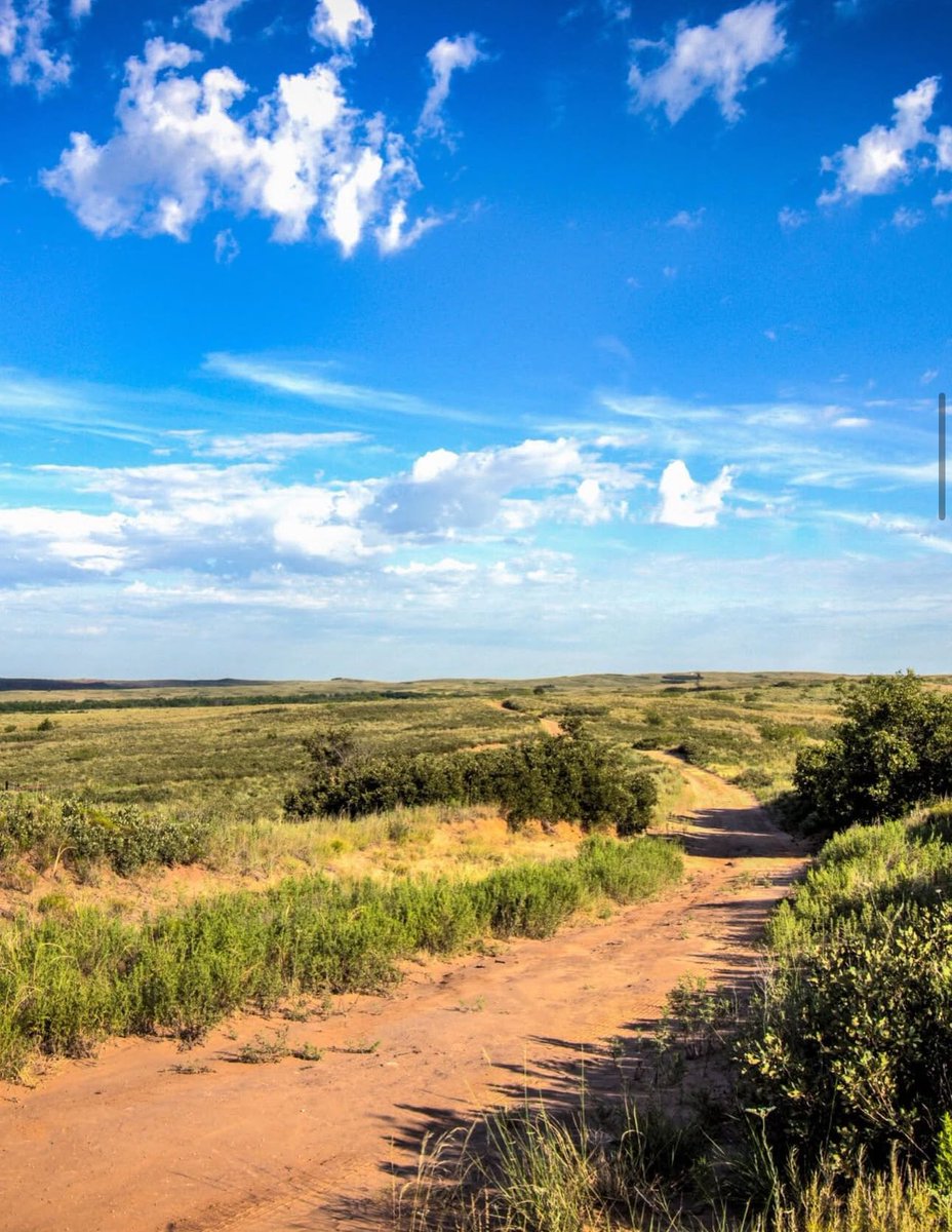 KPAestates's tweet photo. Land for sale in Nakasongola

Size 150 acres.  Price 5M ugx per acre

Total Price 750m ugx

Ready land title

Best use: 
Farm house | Country home | School | NGO | Industry

+256 787 054 421 https://t.co/2oDlMuS1CI