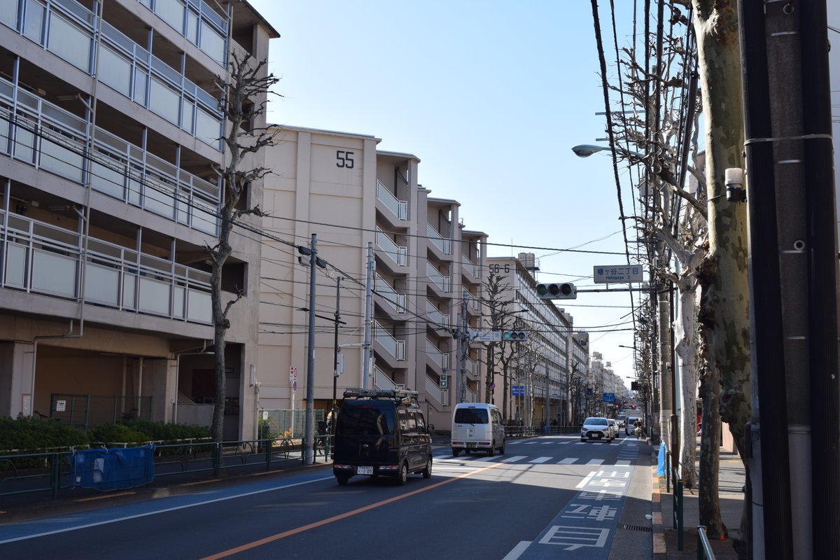 codanwalker's tweet photo. 淀橋浄水場につながる水道管を通すための盛土に整備された水道道路。その道路沿いに2kmにわたって張り付いている笹塚・幡ヶ谷の都営住宅です。
盛土自体の高さが２階分くらいあって、そこから６階建てエレベータなしという筋トレ仕様ですが、立地は素晴らしく良い。 https://t.co/X14jIarTqF
