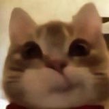 daenerryxz's tweet image. 