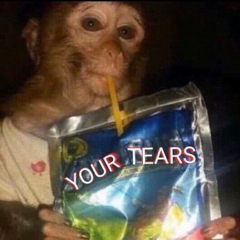 Viktor C. Stojanovski - IMDB tweet media