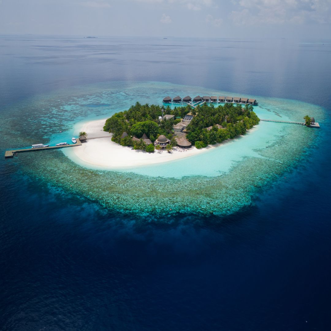 An island wrapped in emerald waters, kissed by white sands, and alive with one of the Maldives’ most colourful house reefs.

#IslandLife #IslandEscape #TropicalVibes #Serenity #Ocean #Travel #VisitMaldives #KandolhuMaldives #Maldives