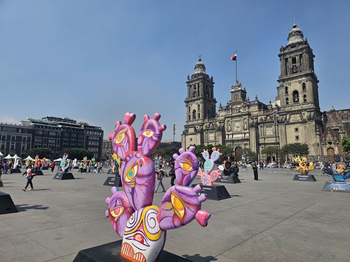 javier brandoli tweet media