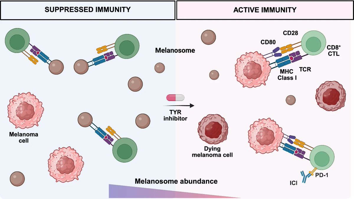 Lorenzo Galluzzi tweet media