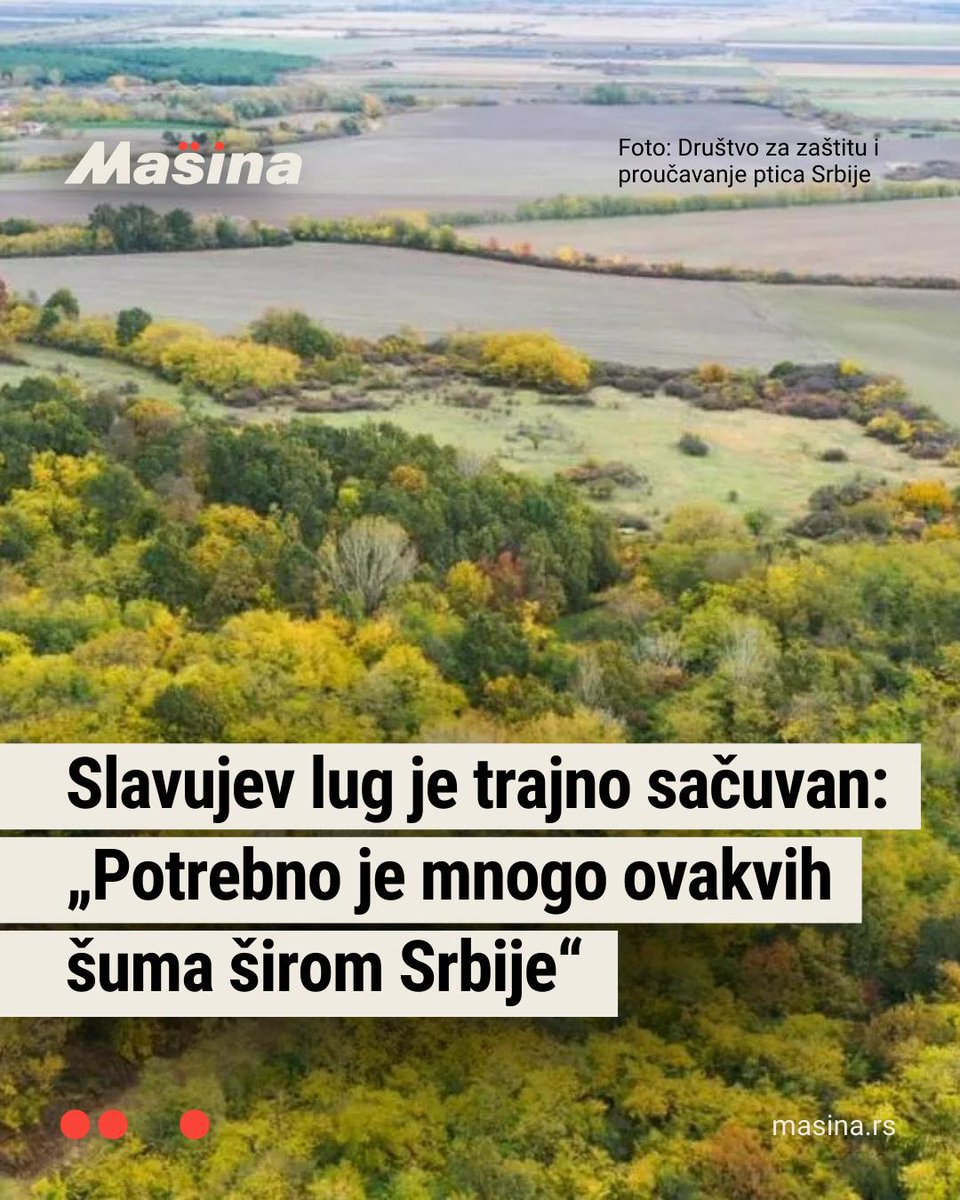 Mašina tweet media