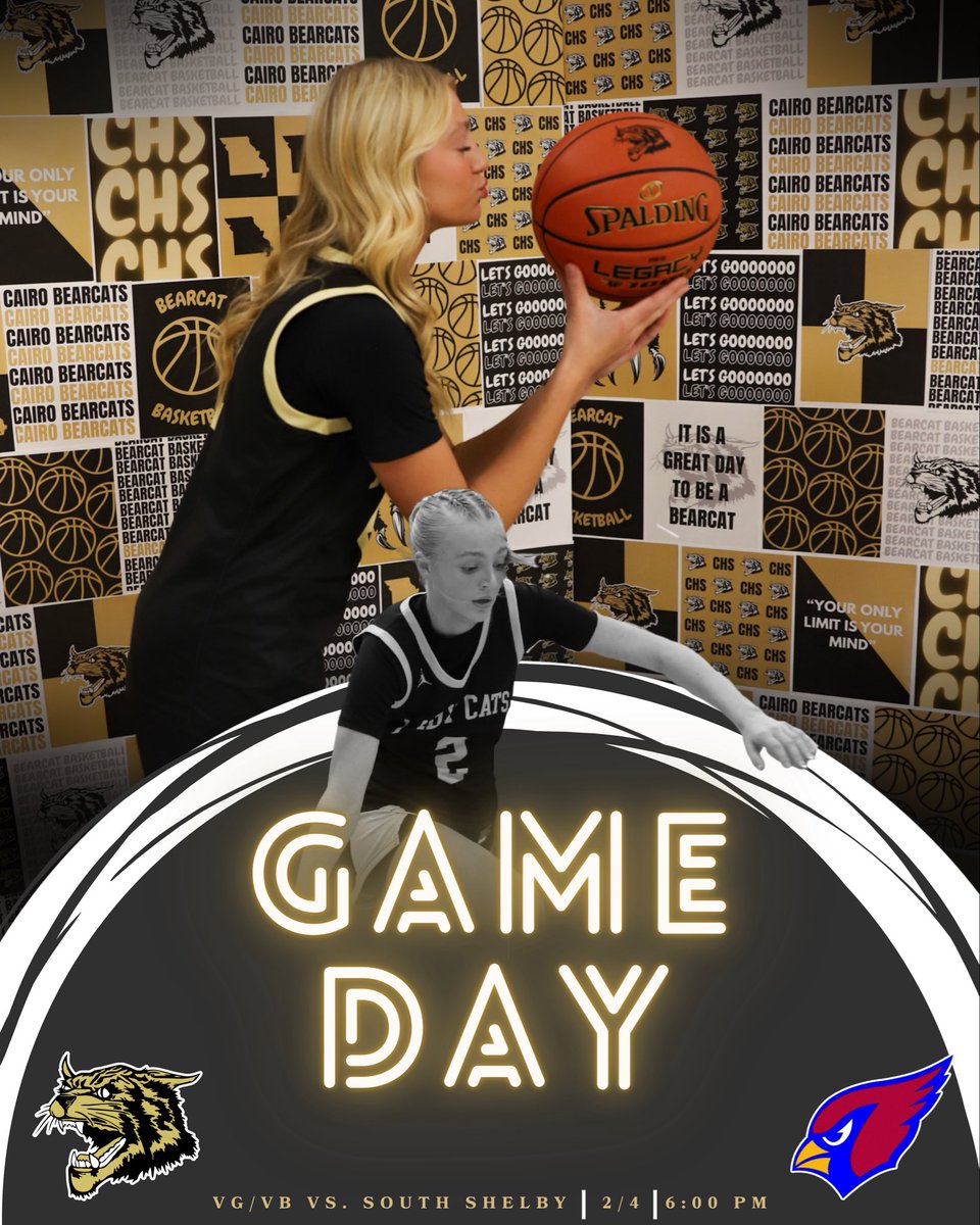 Ladycats Basketball (@ladybearcathoop) on Twitter photo 