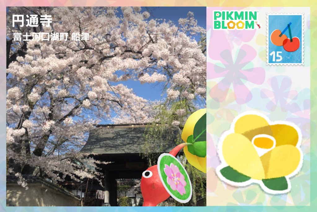 586pik's tweet photo. 山梨県🗻

#PikminBloom
#ピクミンブルーム https://t.co/GVQ8RkWcoa