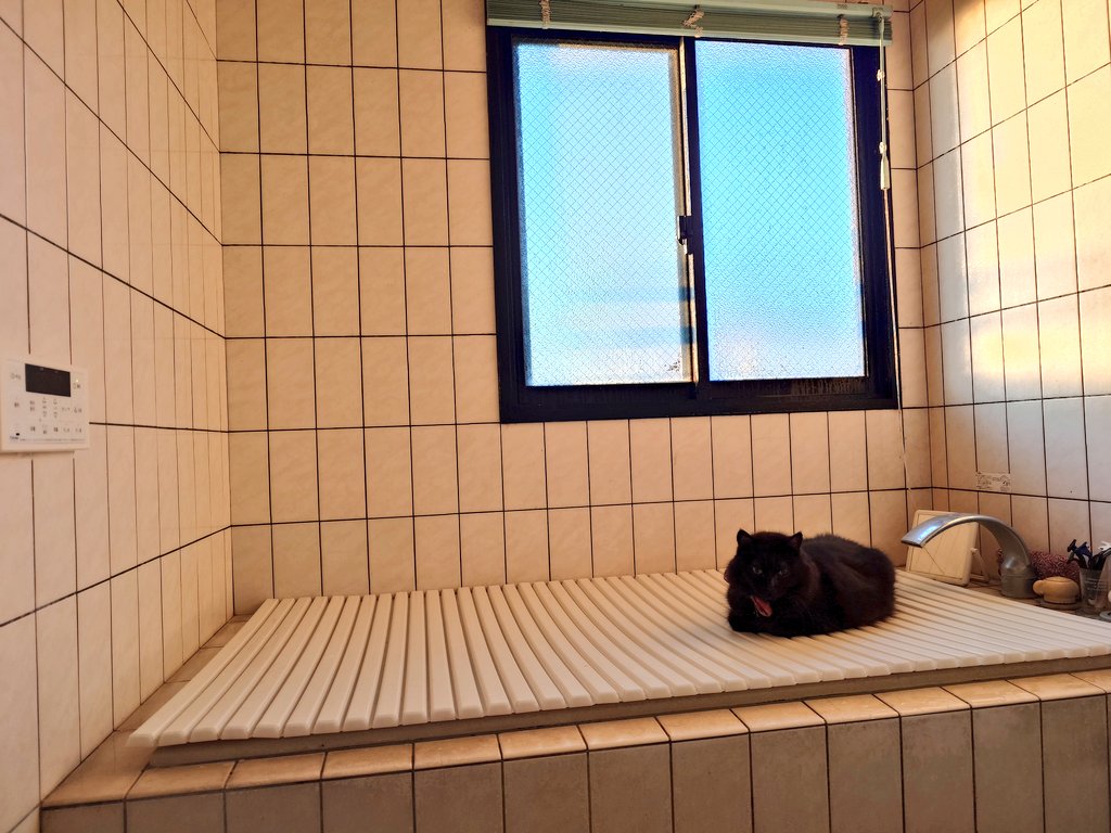 Post by ねこじゃ・じぇねこ🐱 on X: 昨日の猫🐈‍⬛