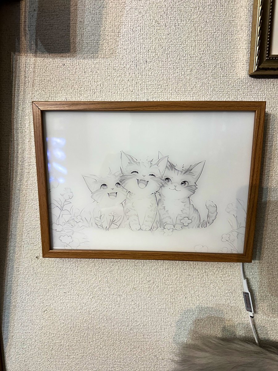 NEKOLAND14's tweet photo. コレ、海外サイトで見つけたんだけど完全にウチの猫達みたいで衝動買いしてもうた…。 https://t.co/q3VWtYSRzX