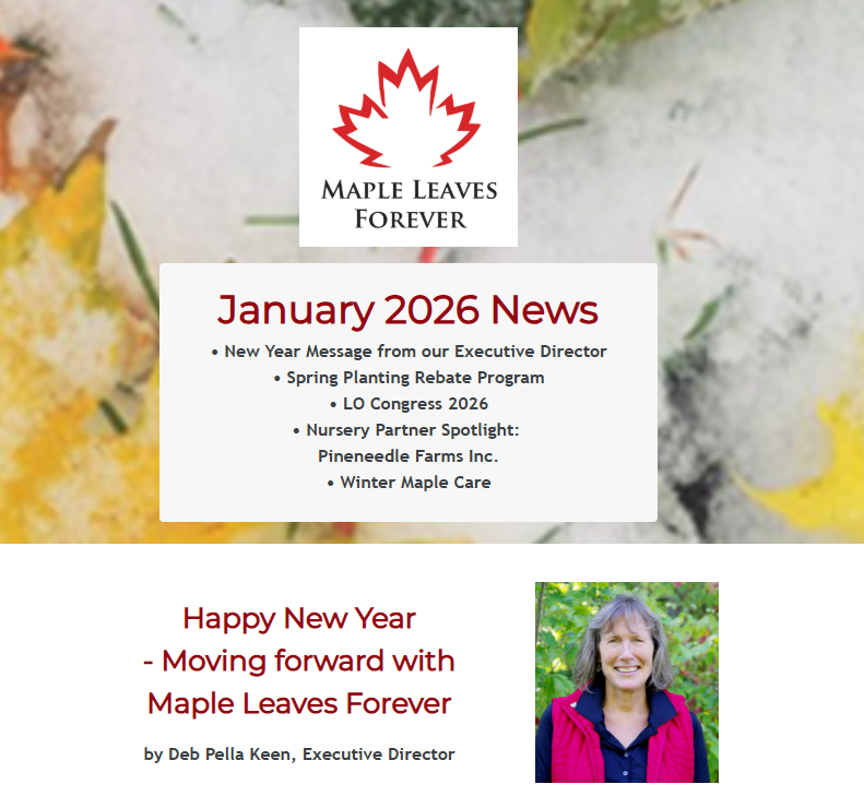 Maple Leaves Forever (@MLeavesForever) / Posts / X