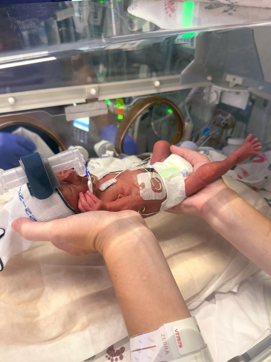 Buck Robinson tweet media