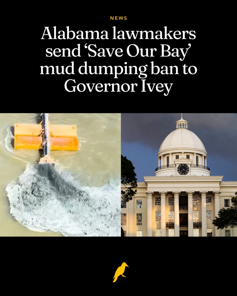 Yellowhammer News tweet media