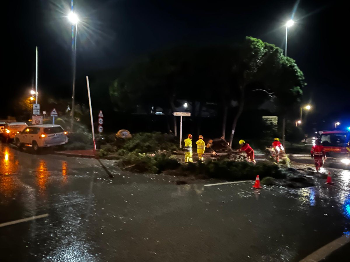 MijasCom's tweet photo. #Sucesos | #Mijas
🌳🧑‍🚒 El temporal ha derribado esta madrugada un pino de gran tamaño en la avenida de España, en Calahonda. Bomberos Mijas han acudido  para trocear los enormes troncos y despejar la vía tras el incidente.
▪️ El suceso ocurrió en un punto muy transitado. https://t.co/NwCowBA5qc